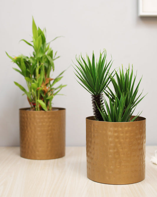 6 Inch Plant Pot, Hammered Style Gold Tone Metal Succulent Planter Pot Set of 2