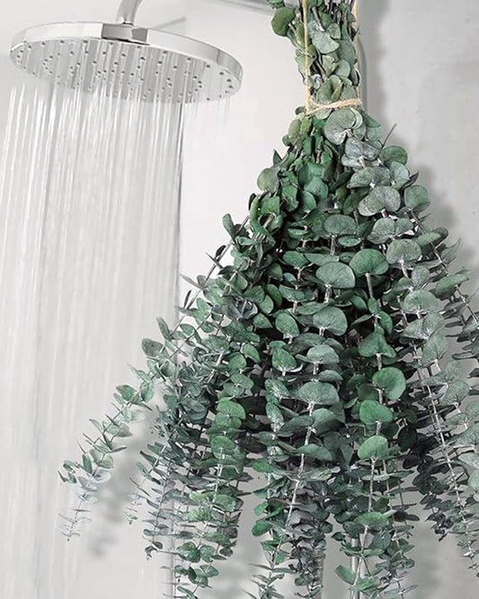6 Pcs Preserved Dried Eucalyptus Stems, 17" Natural Branches for Shower Hanging, Real Dried Flowers for Vase Filler, Made from Fresh Eucalyptus Leaves, Garland, Wedding, DIY