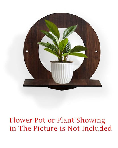 Wall Planters,Modern Succulent Planter Wood MDF Hanging Planter for Herb,Small Cactus Perfect for Balcony, Room and Patio Decor, Round set of 2