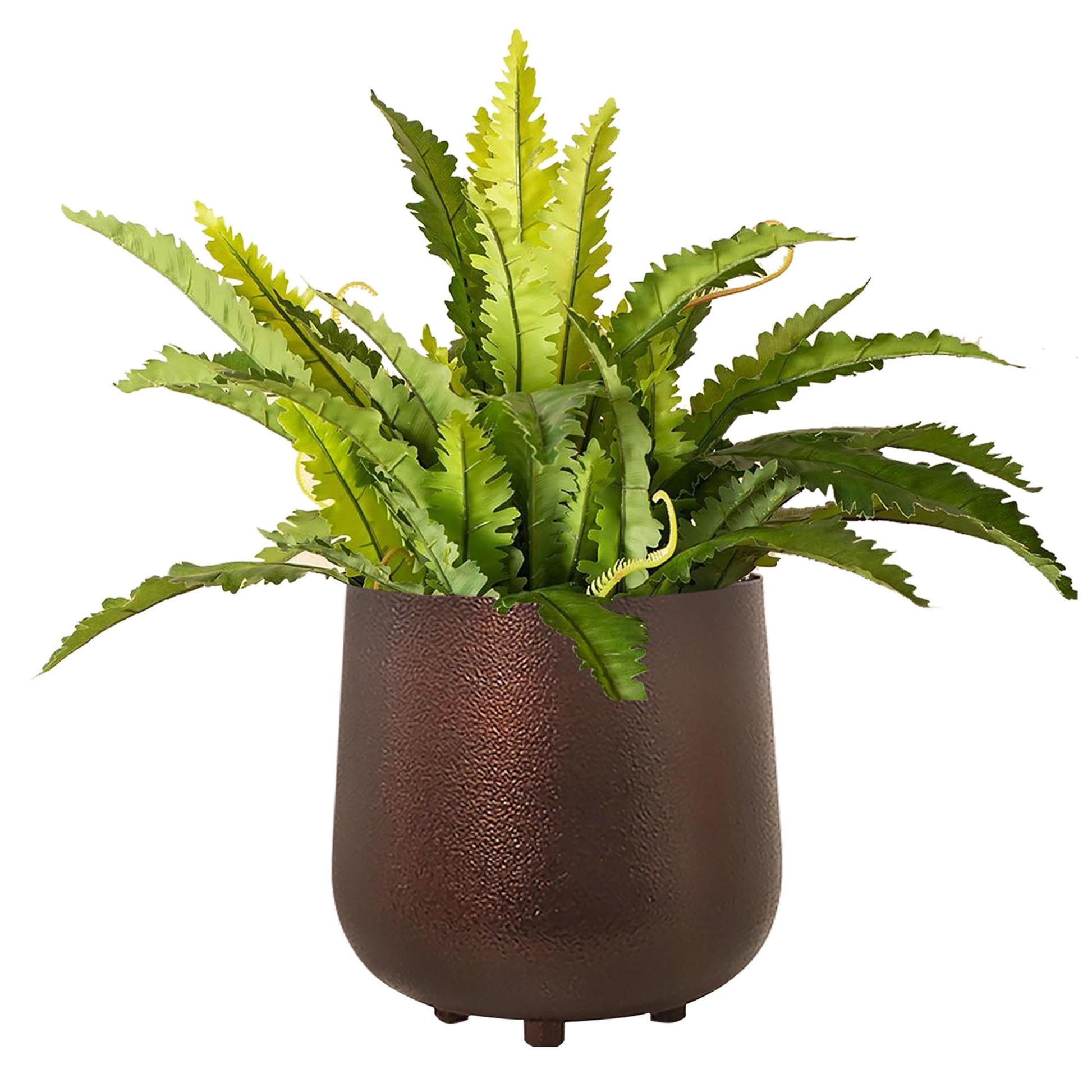 Homesake® Metal Flower Pots Planter DistressToned Garden Planters, 7.5/7 Inch Indoor Round Plant Containers, Pack 2 Cactus Greens Pots with Drainage Hole