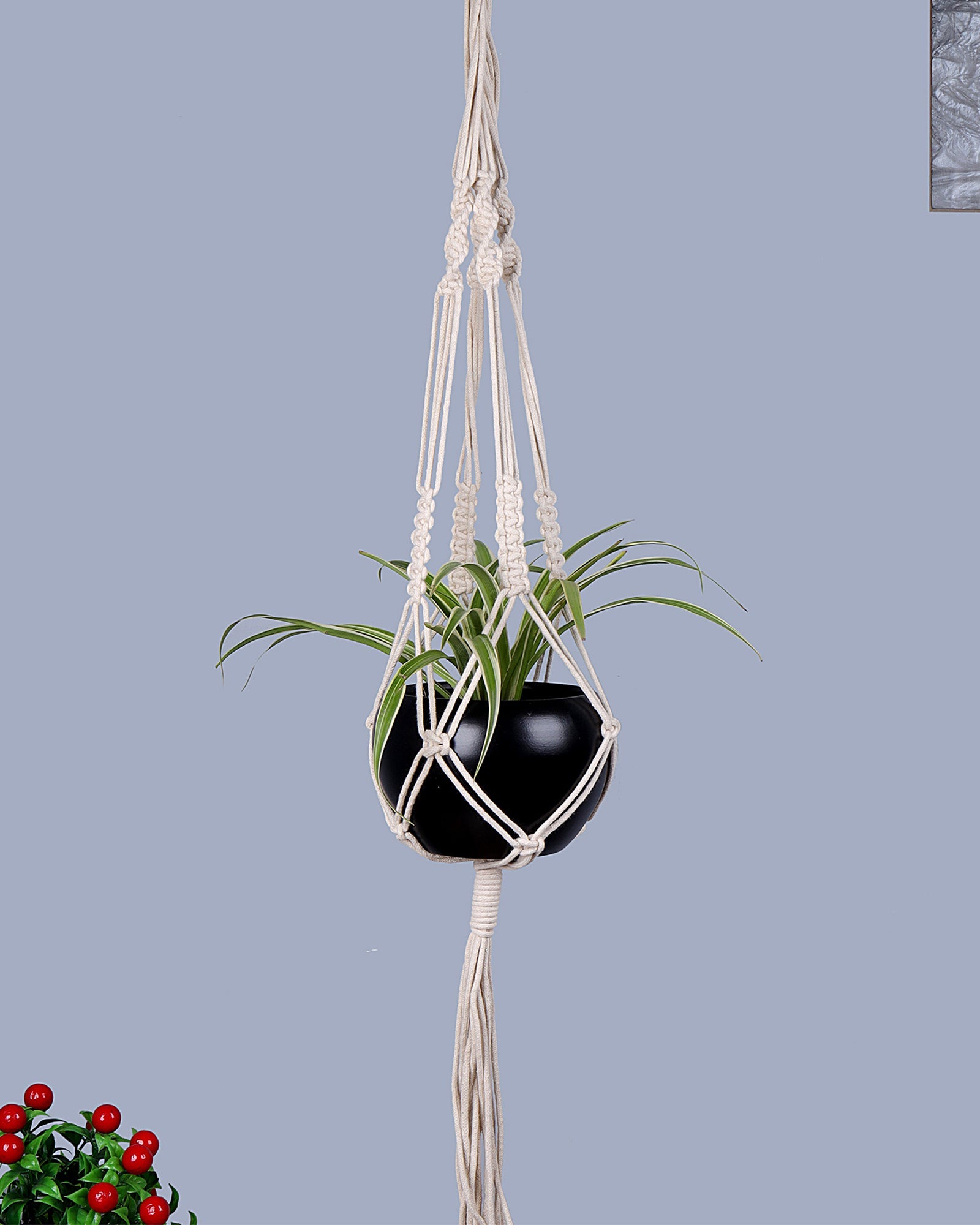 Macreme Hanging Planter Large Macrame with Pot Pack of 2
