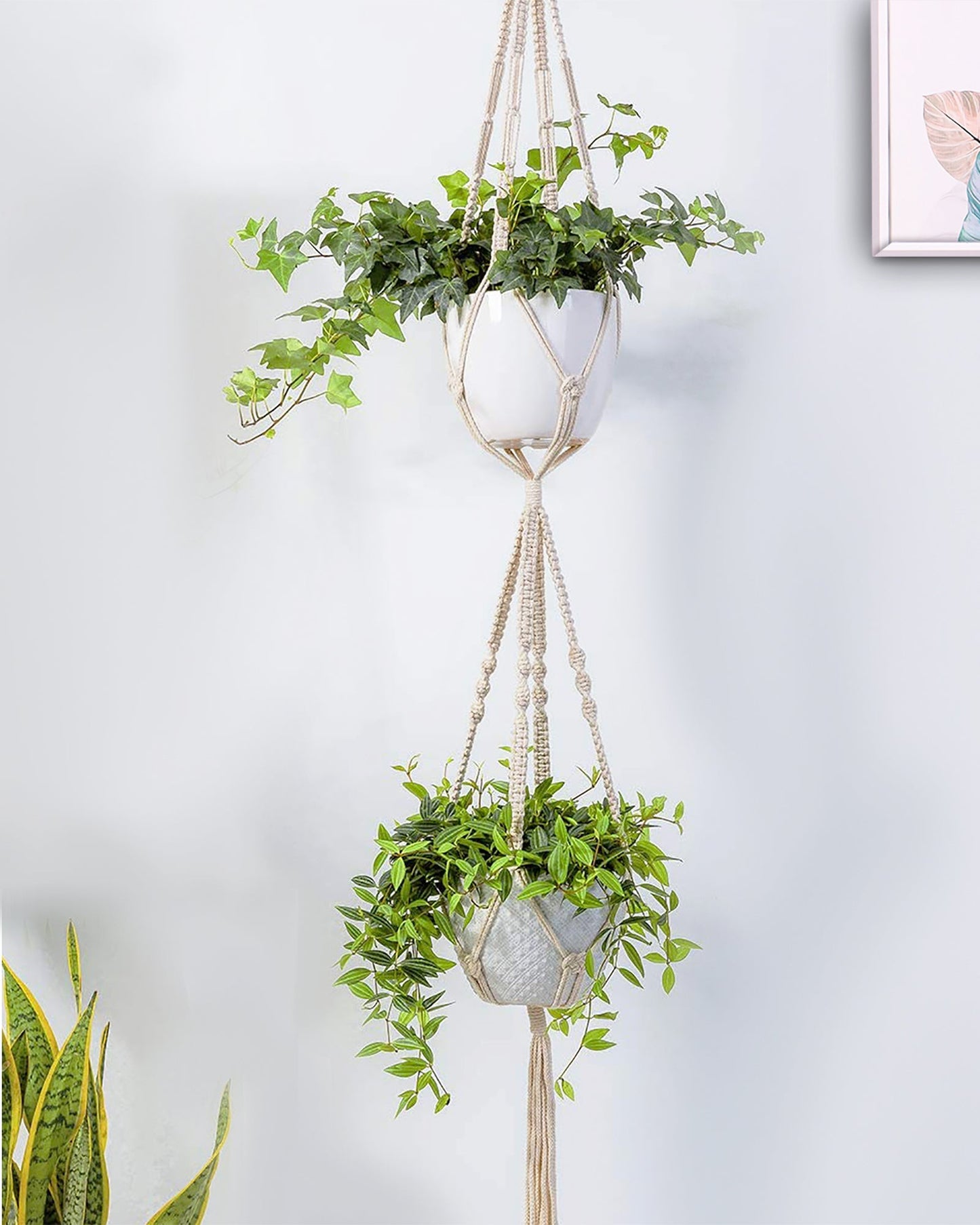 Macrame plant hanger, plant hangers indoor, hanging planters, Handmade weaving, hanging planters indoor, Natural organic cotton,hanging planters indoor, set of 2, Double