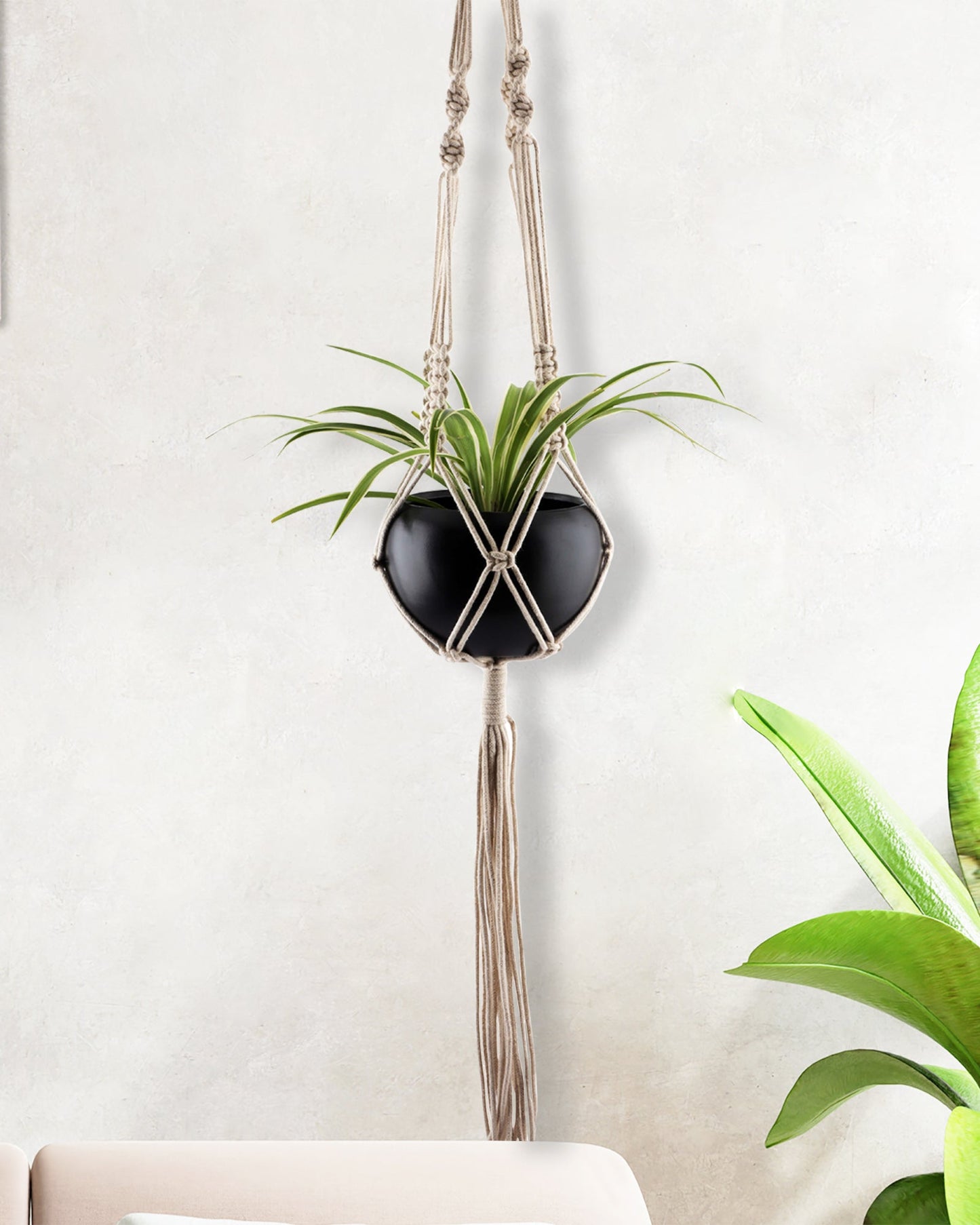 Macreme Hanging Planter Large Macrame with Pot Pack of 1