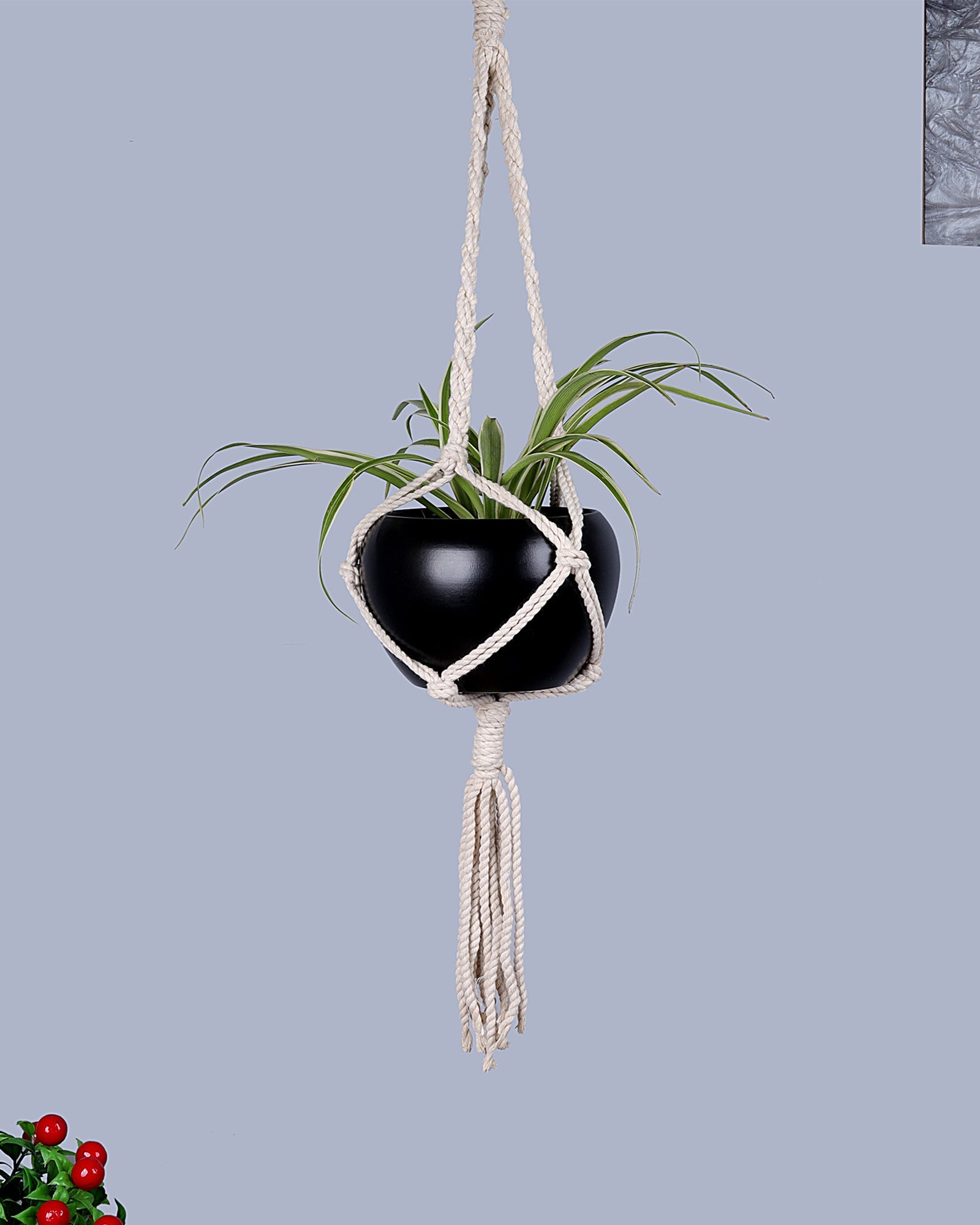 Hanging Planter Medium Macrame Planter With Pot Pack of 1