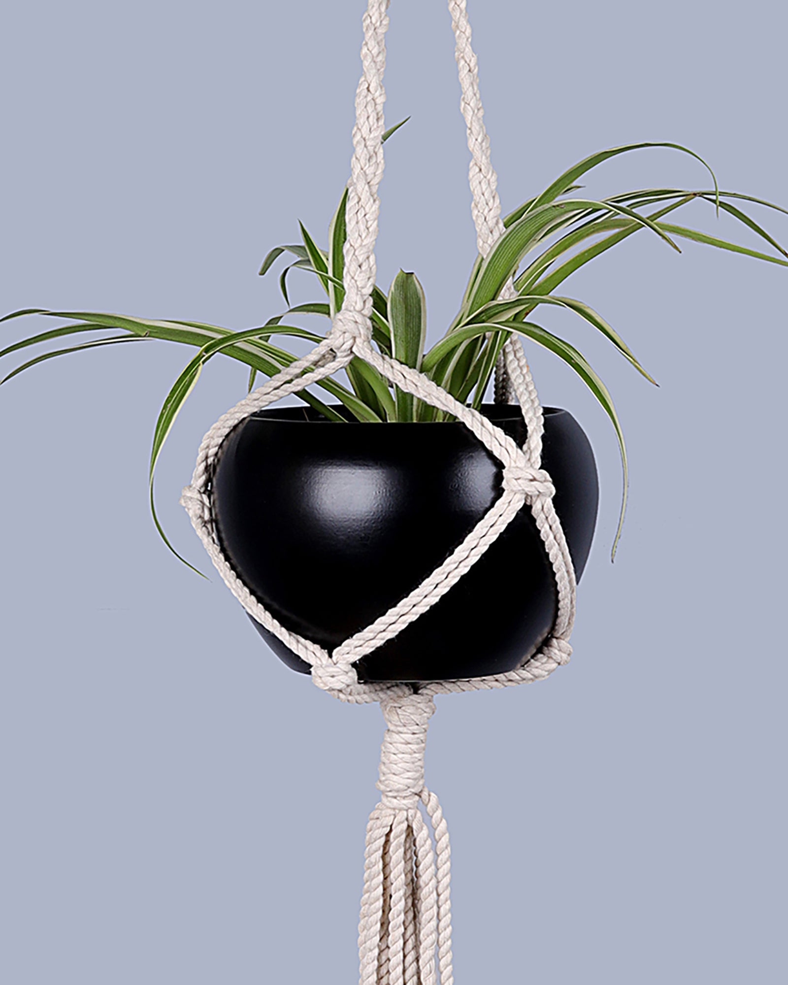 Hanging Planter Medium Macrame Planter With Pot Pack of 1