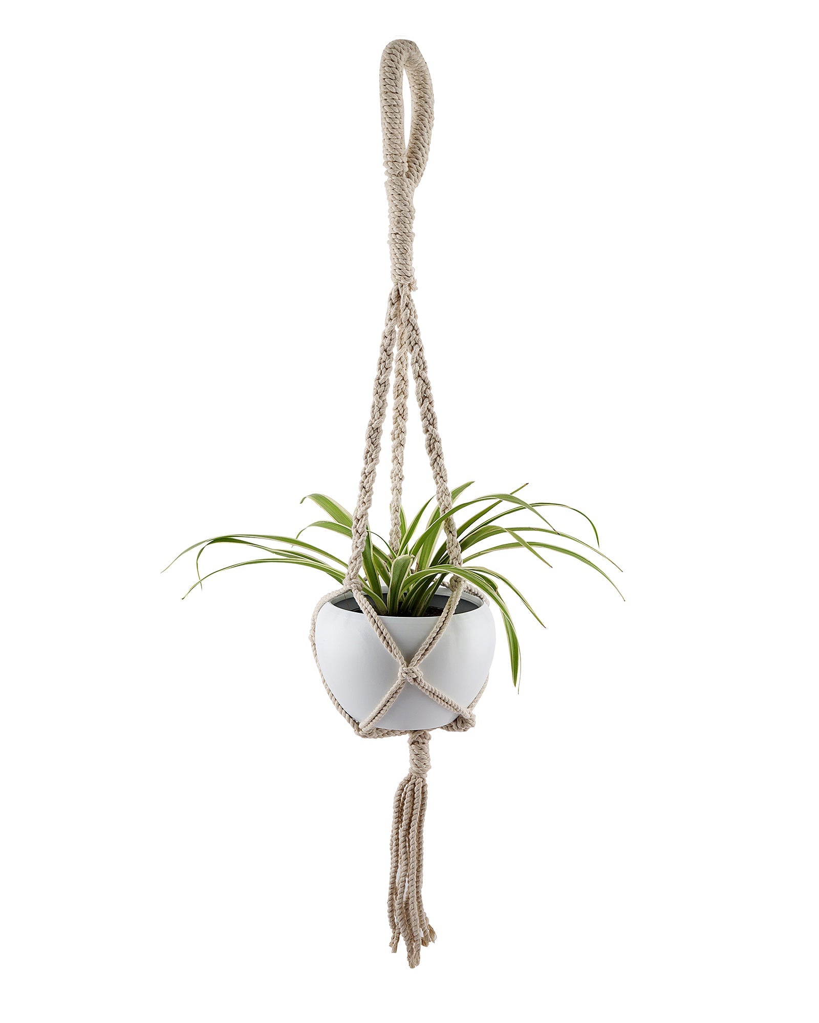 Hanging Planter Medium Macrame Planter With Pot Pack of 1