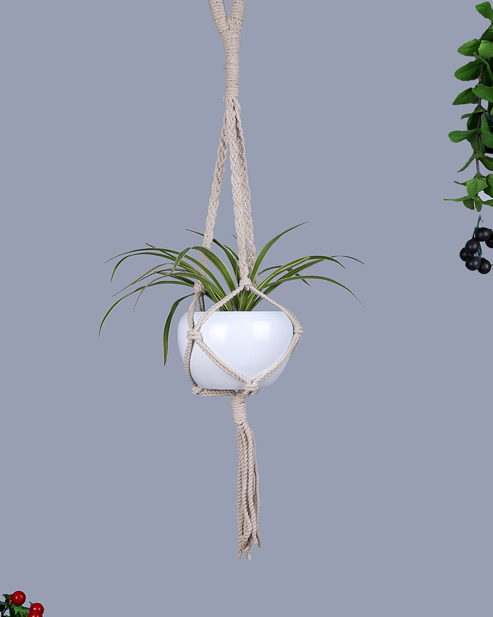 Hanging Planter Medium Macrame Planter With Pot Pack of 1