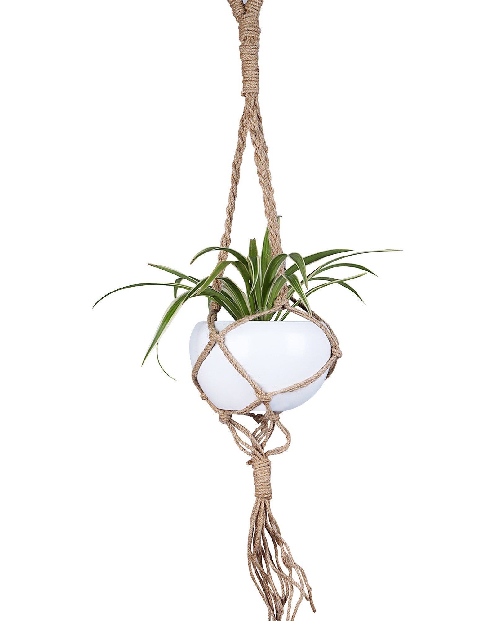 Hanging Macrame Planter Medium Jute with Pot Pack of 1