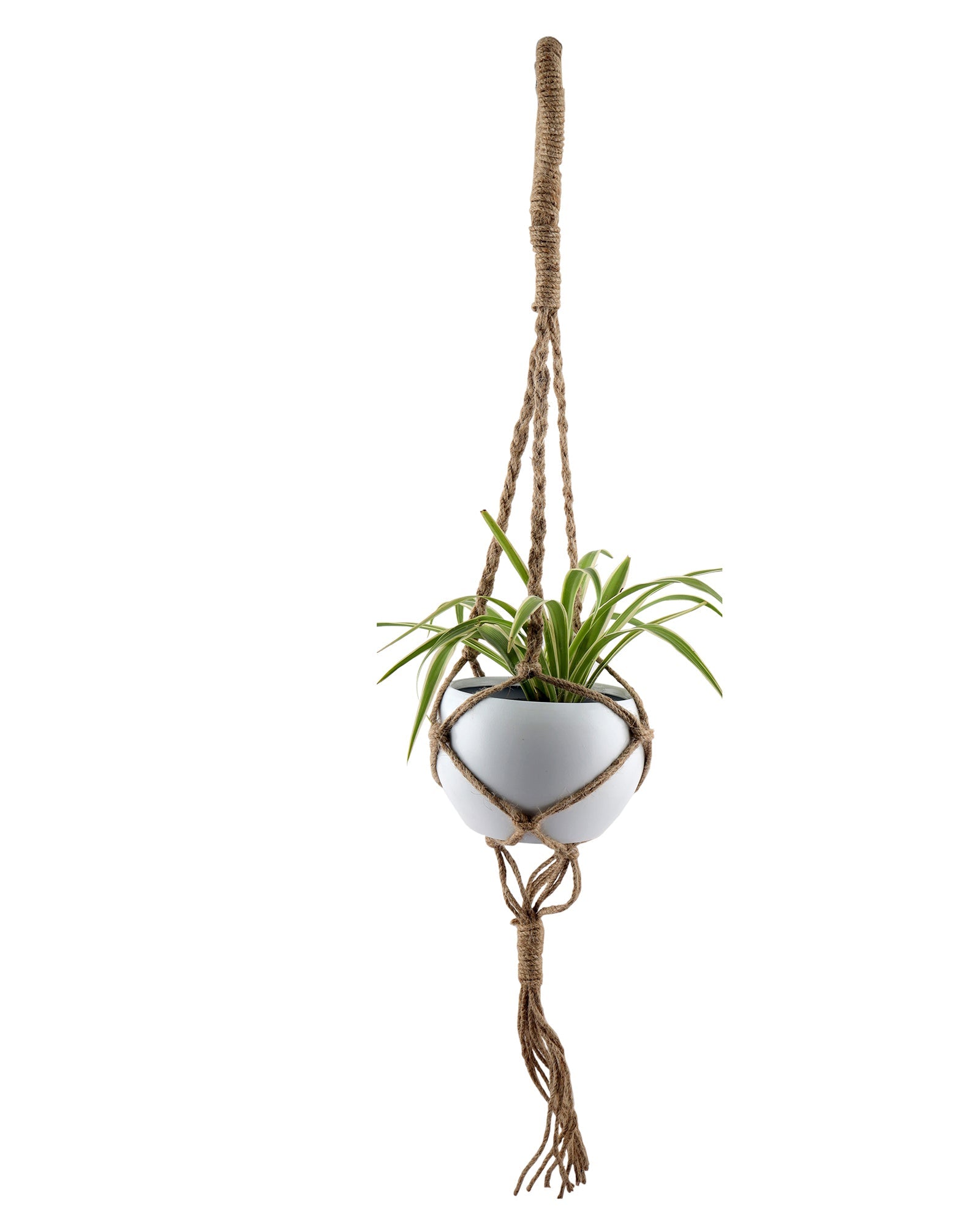 Hanging Macrame Planter Medium Jute with Pot Pack of 1