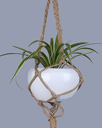 Hanging Macrame Planter Medium Jute with Pot Pack of 1