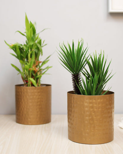 6 Inch Plant Pot, Hammered Style Gold Tone Metal Succulent Planter Pot Set of 2