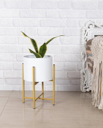 10" Mid Century Golden Modern Small Planter with Stand, with Black Pot, Plant Holder for Indoor Snake Plants Flowers