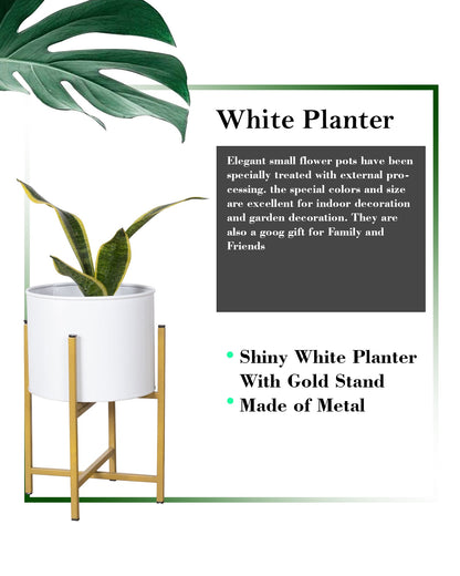 11" Mid Century Golden Modern Medium Planter with Stand, with Black Pot, Plant Holder for Indoor Snake Plants Flowers