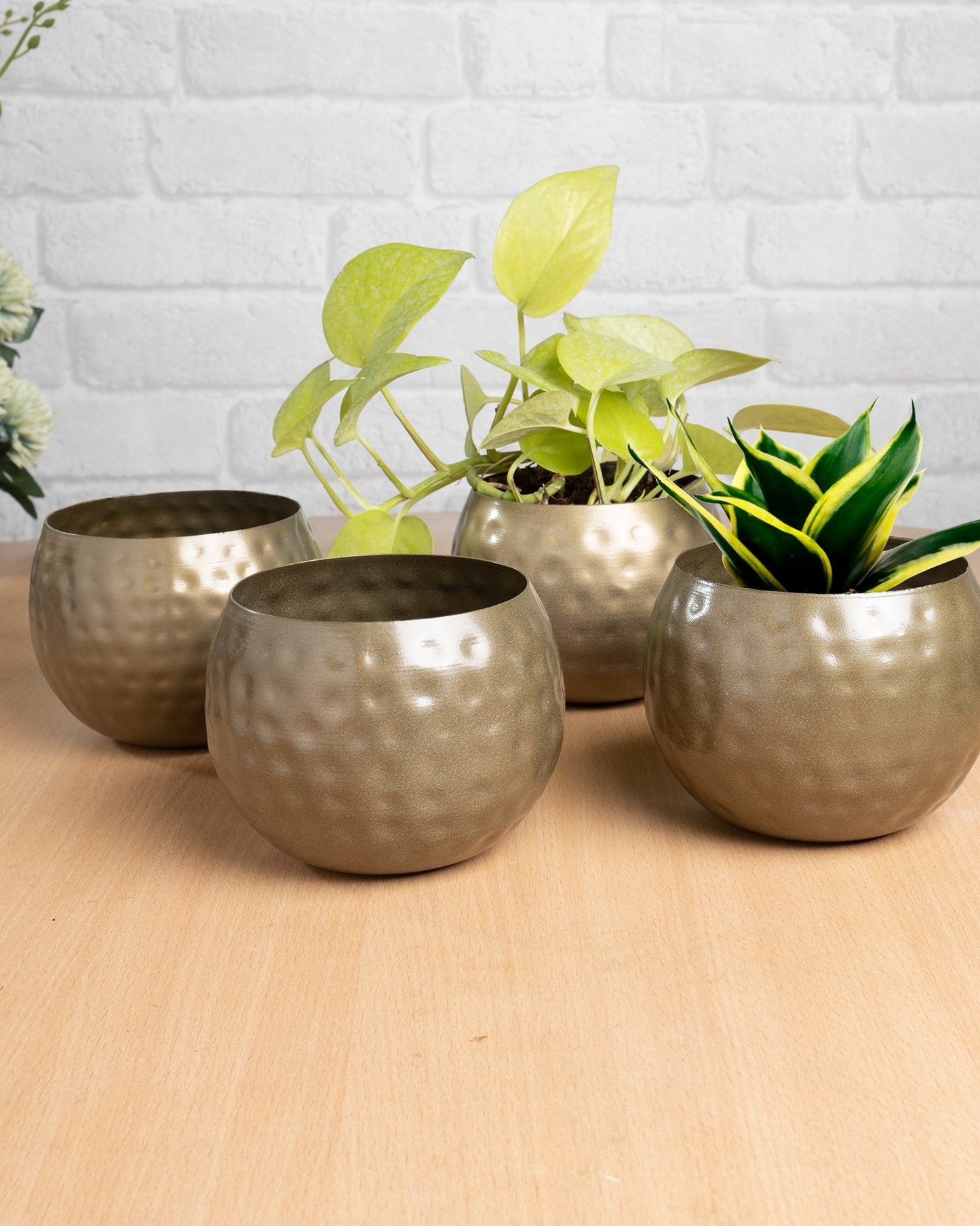 Country Style Belly Bucket Planters antique golden, set of 4