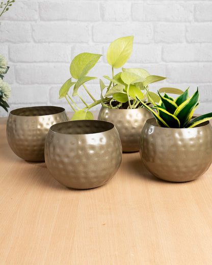 Country Style Belly Bucket Planters antique golden, set of 4