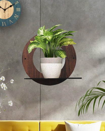 Wall Planters,Modern Succulent Planter Wood MDF Hanging Planter for Herb,Small Cactus Perfect for Balcony, Room and Patio Decor,Pack of 1