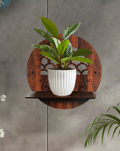 Wall Planters,Modern Succulent Planter Wood MDF Hanging Planter for Herb,Small Cactus Perfect for Balcony, Room and Patio Decor,Pack of 1