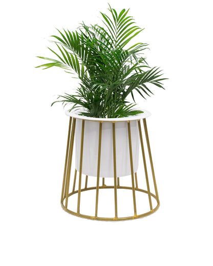 Combo of 2 Table Top Designer Metallic Gold Metal Stand with Planters, Small White Metal Pots for Livingroom, Balcony & Home Decoration, set of 2