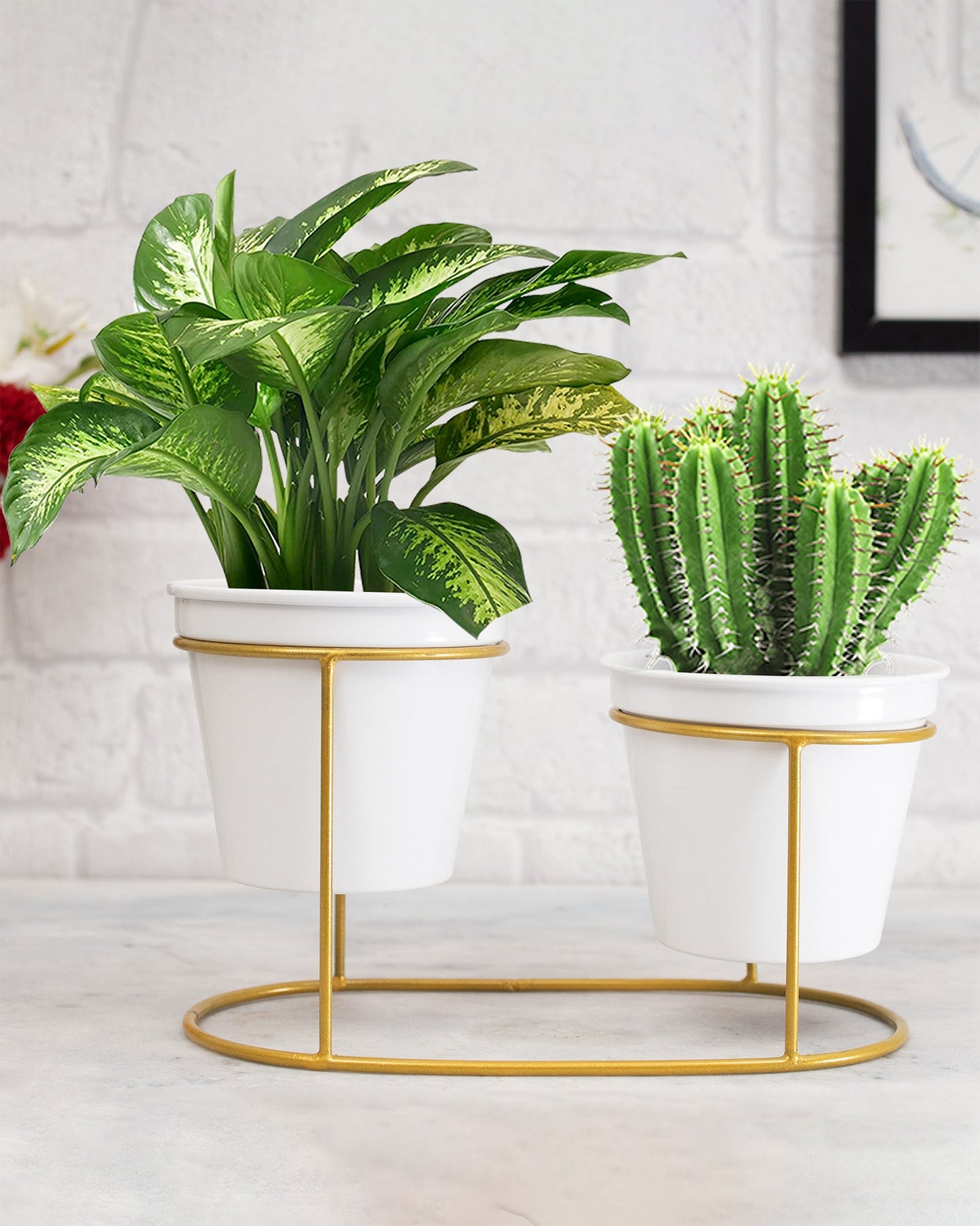 Combo of 2 Table Top Designer Metallic Gold Metal Stand with Planters, Small White Metal Pots for Livingroom, Balcony & Home Decoration, Twin Oval Planter