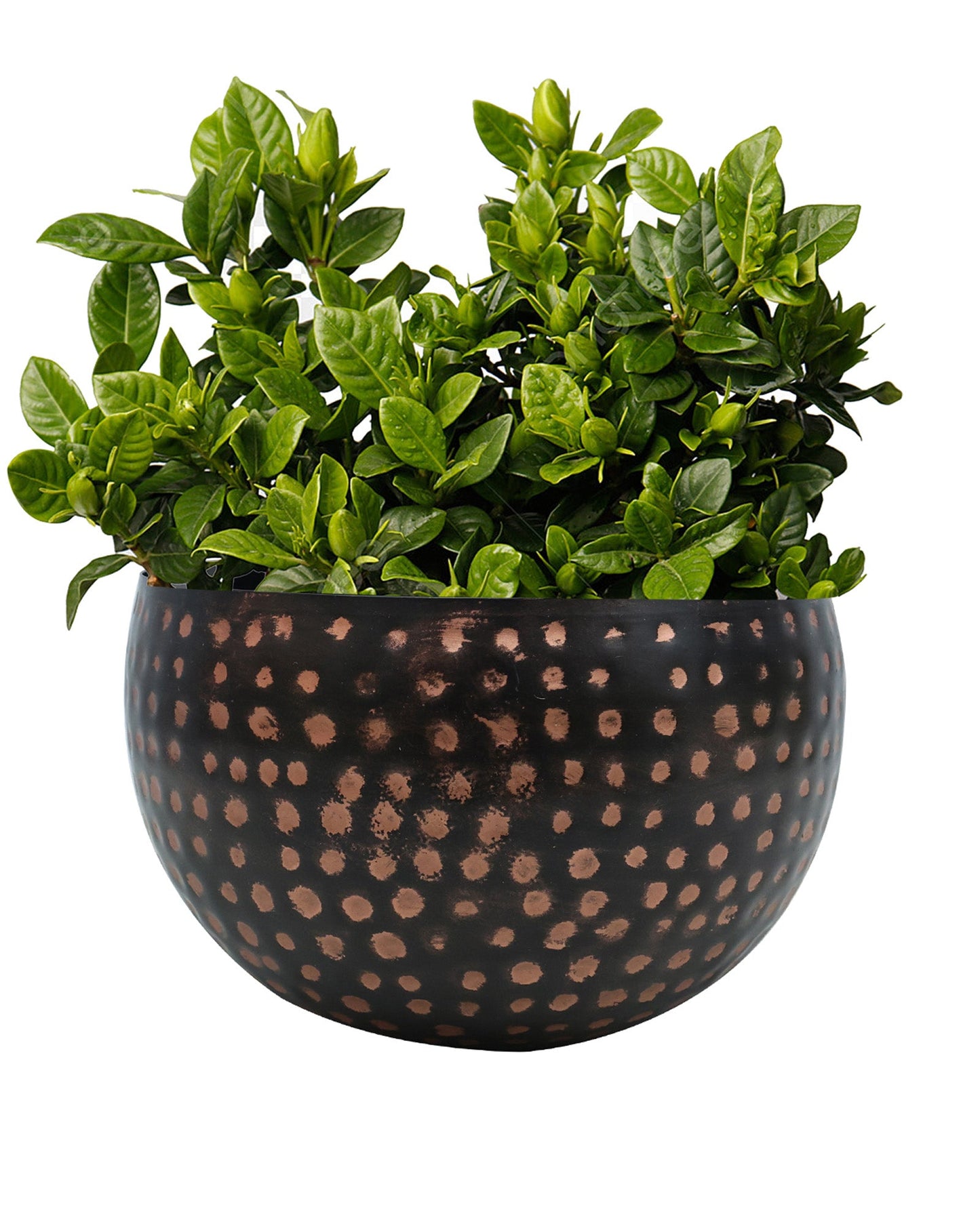 Metal Plant Pot with Hammered Design, Decorative Small Succulent Planter, Bowl