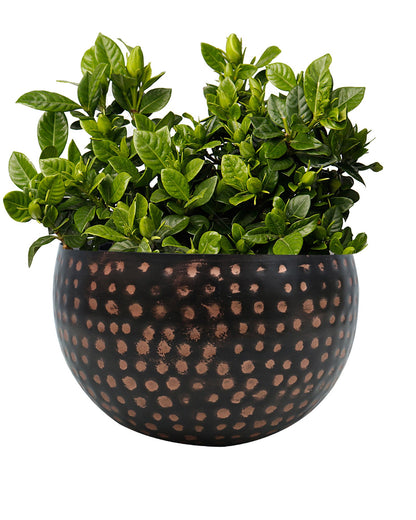 Metal Plant Pot with Hammered Design, Decorative Small Succulent Planter, Bowl