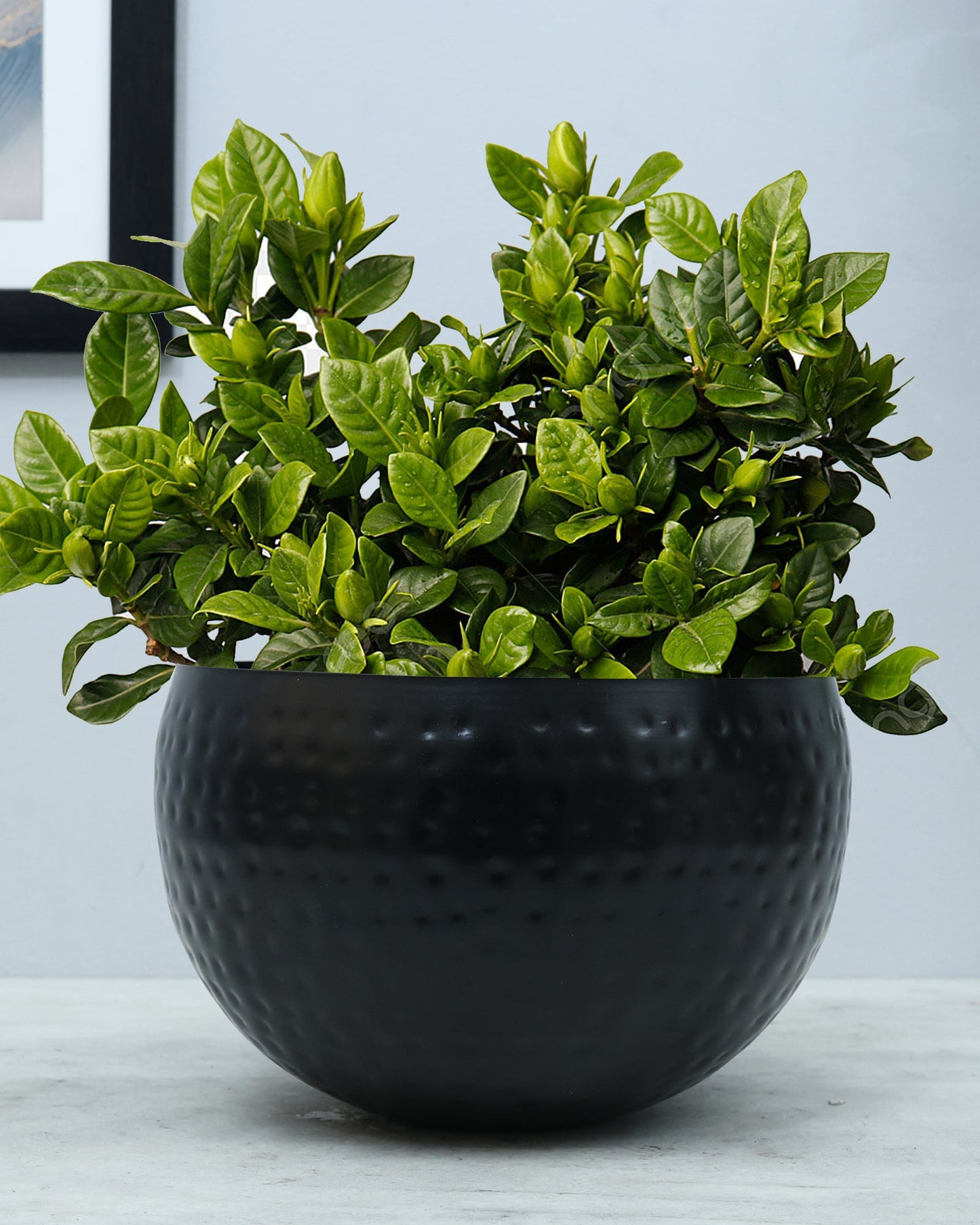 Metal Plant Pot with Hammered Design, Decorative Small Succulent Planter, Bowl