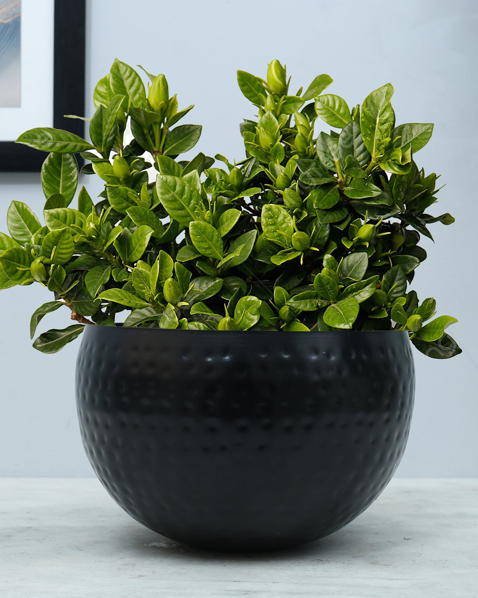 Metal Plant Pot with Hammered Design, Decorative Small Succulent Planter, Bowl