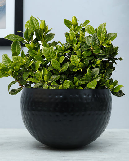 Metal Plant Pot with Hammered Design, Decorative Small Succulent Planter, Bowl