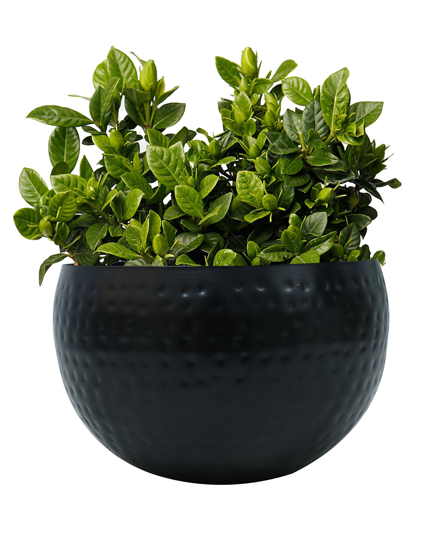 Metal Plant Pot with Hammered Design, Decorative Small Succulent Planter, Bowl