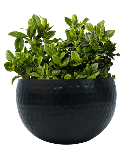 Metal Plant Pot with Hammered Design, Decorative Small Succulent Planter, Bowl