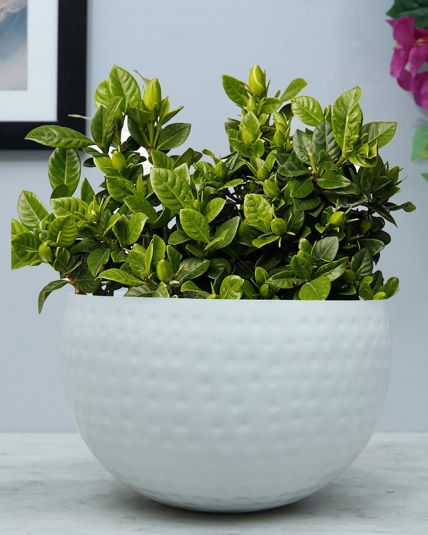 Metal Plant Pot with Hammered Design, Decorative Small Succulent Planter, Bowl