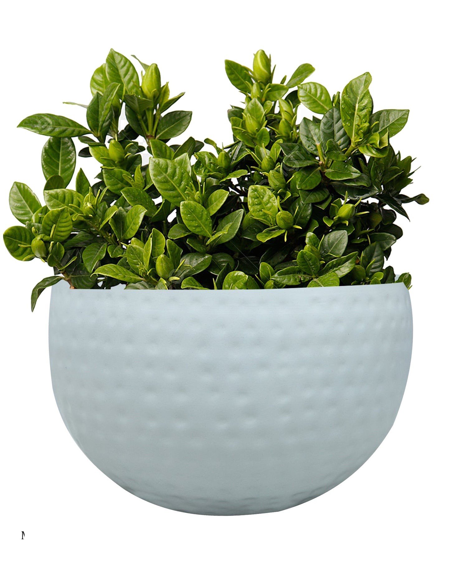 Metal Plant Pot with Hammered Design, Decorative Small Succulent Planter, Bowl