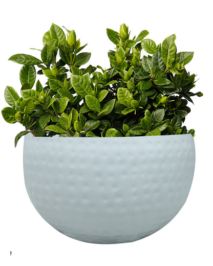 Metal Plant Pot with Hammered Design, Decorative Small Succulent Planter, Bowl