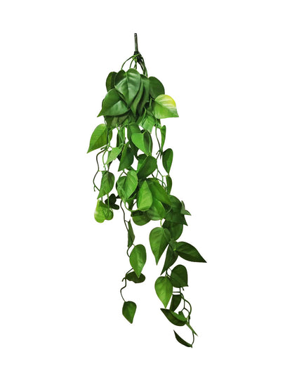 Hanging Plant Fake Money Hanging Plants with Metal Pots, Artificial, Faux Anthurium Leaf Hanging Basket Plant Vine Creeper Wall Home Room Indoor Outdoor Decor