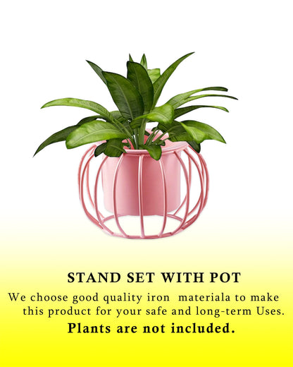 Combo of 2 Table Top Designer Metallic Metal Stand with Planters, Small White Metal Pots for Livingroom, Balcony & Home Decoration, set of 2, Round