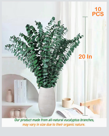 6 Pcs Preserved Dried Eucalyptus Stems, 17" Natural Branches for Shower Hanging, Real Dried Flowers for Vase Filler, Made from Fresh Eucalyptus Leaves, Garland, Wedding, DIY