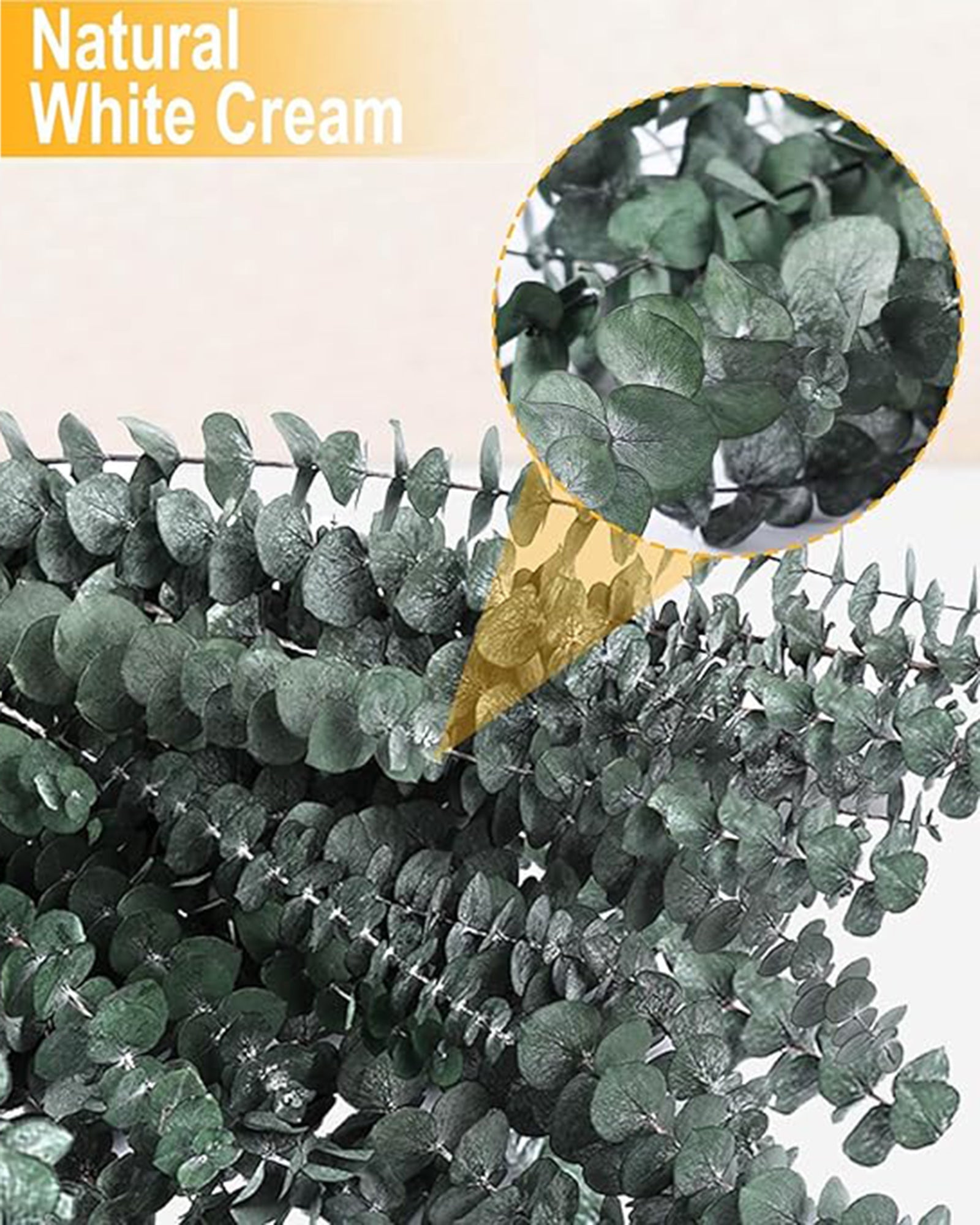 6 Pcs Preserved Dried Eucalyptus Stems, 17" Natural Branches for Shower Hanging, Real Dried Flowers for Vase Filler, Made from Fresh Eucalyptus Leaves, Garland, Wedding, DIY