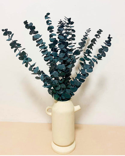6 Pcs Preserved Dried Eucalyptus Stems, 17" Natural Branches for Shower Hanging, Real Dried Flowers for Vase Filler, Made from Fresh Eucalyptus Leaves, Garland, Wedding, DIY
