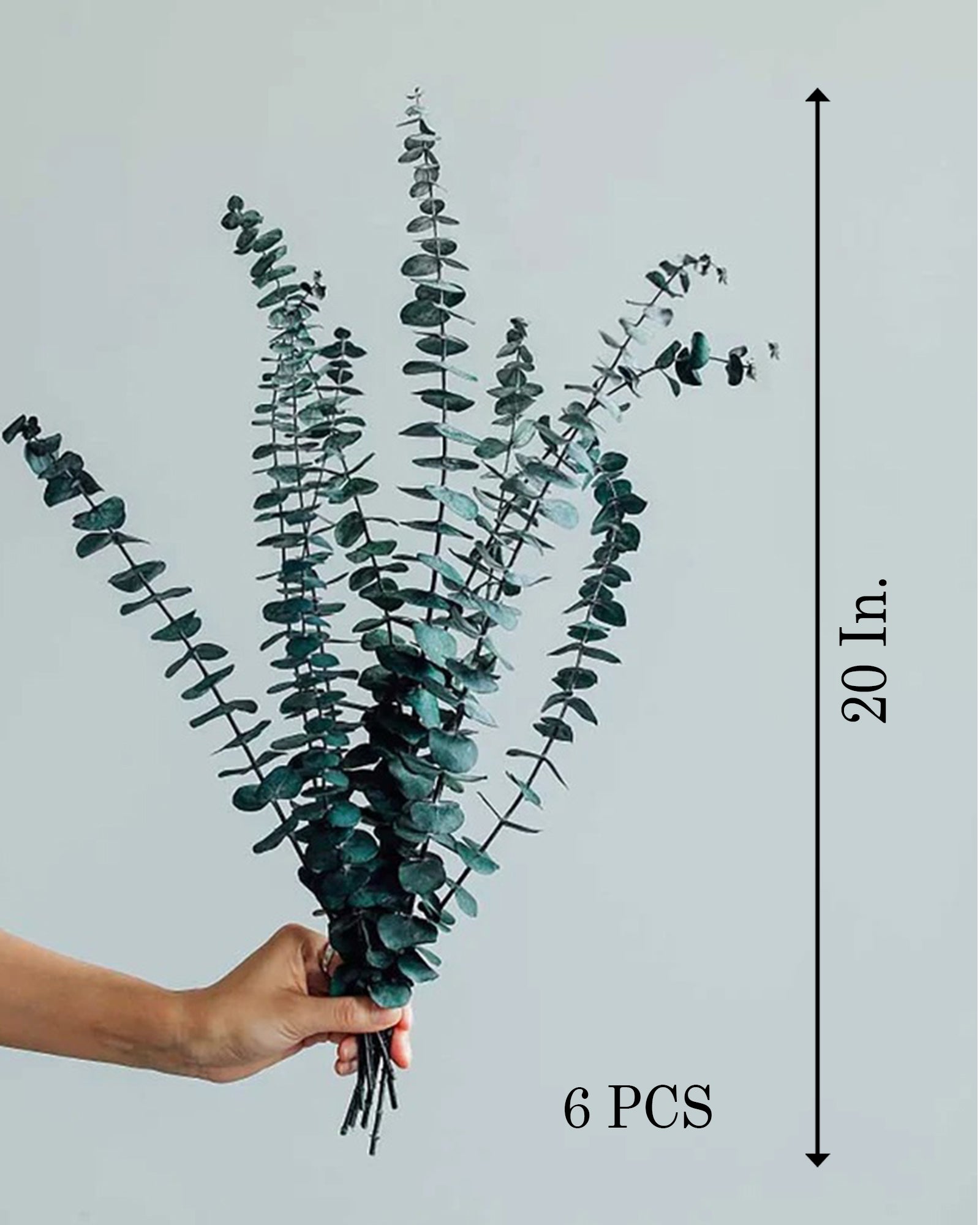 6 Pcs Preserved Dried Eucalyptus Stems, 17" Natural Branches for Shower Hanging, Real Dried Flowers for Vase Filler, Made from Fresh Eucalyptus Leaves, Garland, Wedding, DIY