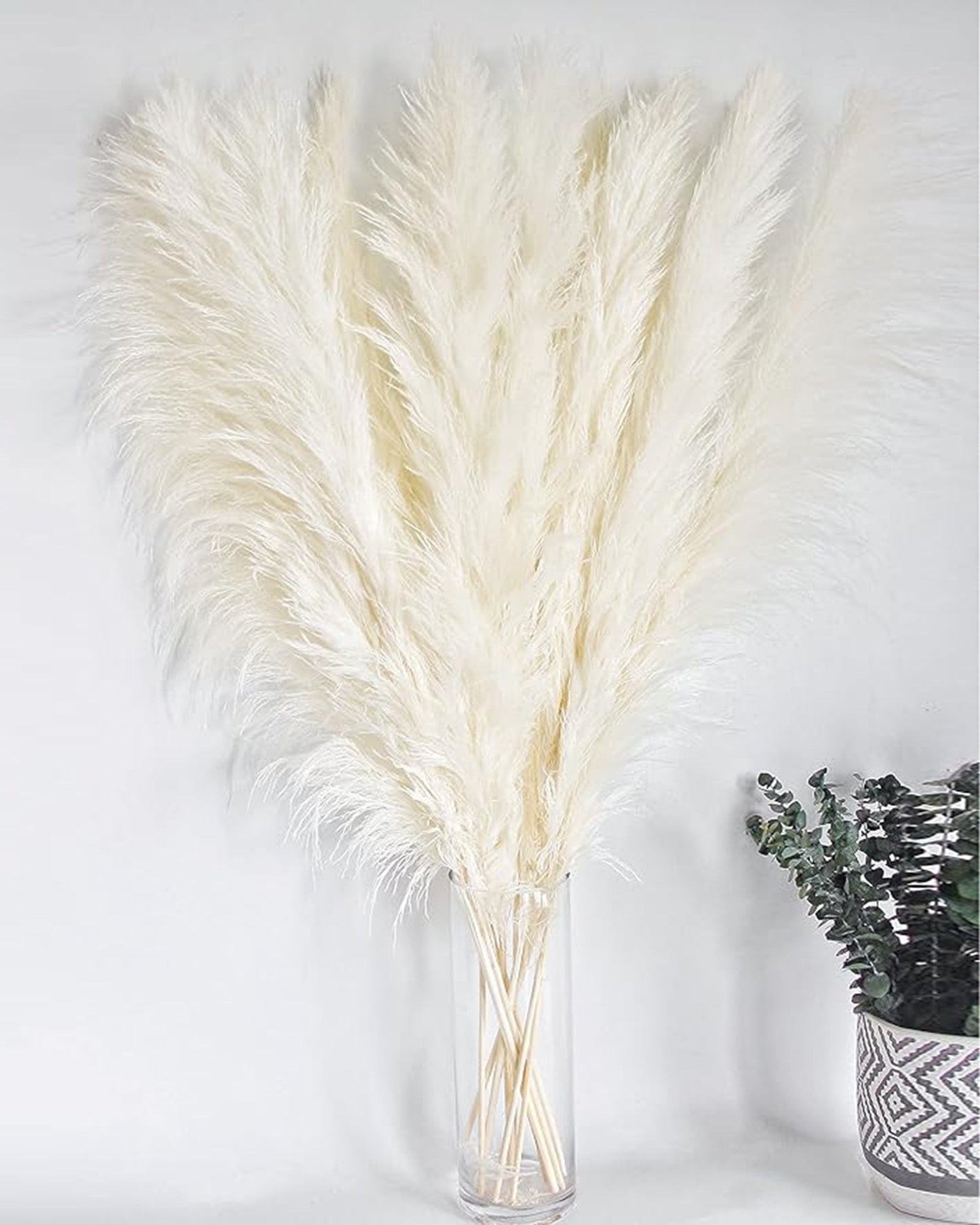 "10 Stems 46"" inch White Pampas Grass Decor Tall, Large Pompas Grass, Boho Neutral Home Decor Bouquet, Fluffy Pampass Grass for Floor Vase Wedding Floral, WhiteArrangements Wall Farmhouse Table Decor, White "