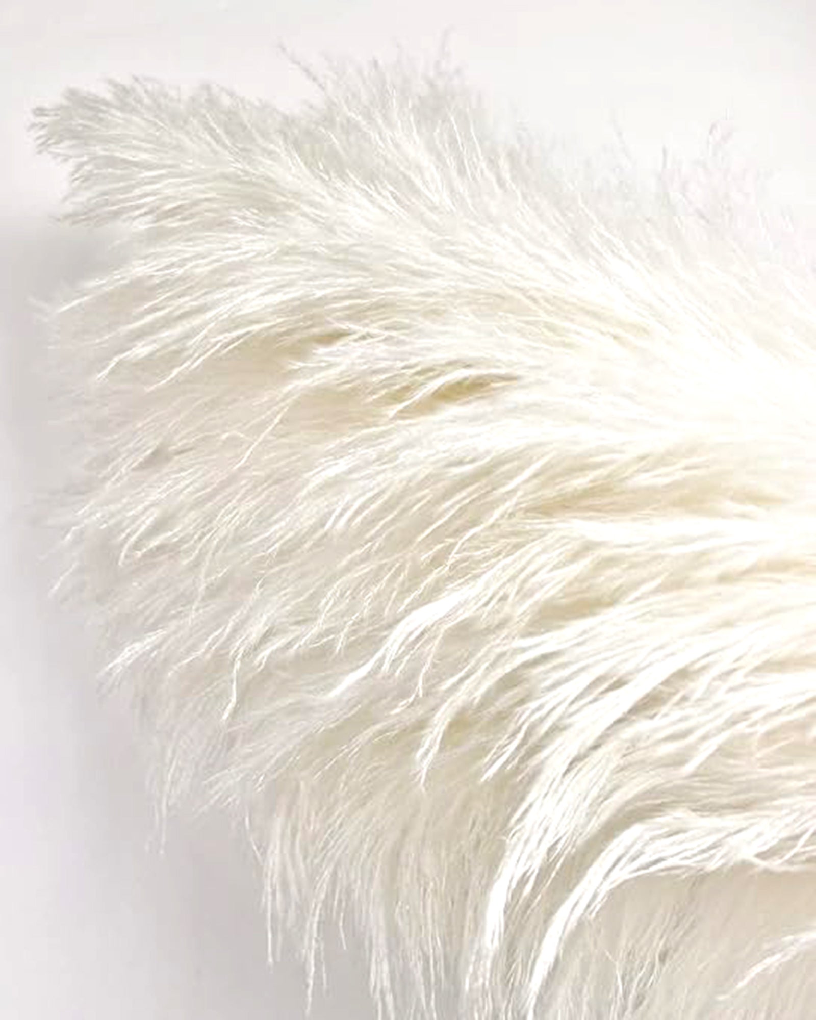 "10 Stems 46"" inch White Pampas Grass Decor Tall, Large Pompas Grass, Boho Neutral Home Decor Bouquet, Fluffy Pampass Grass for Floor Vase Wedding Floral, WhiteArrangements Wall Farmhouse Table Decor, White "