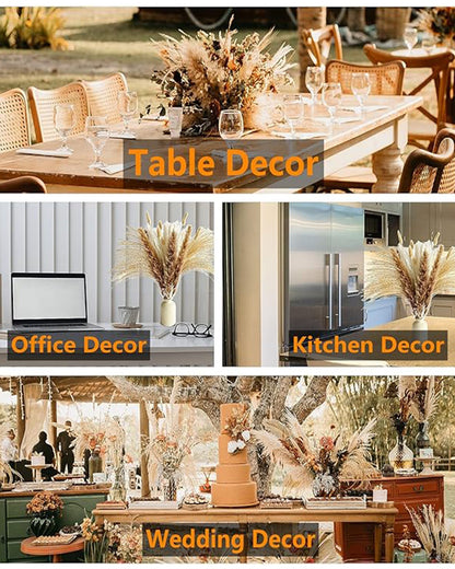 "10 Stems 46"" inch White Pampas Grass Decor Tall, Large Pompas Grass, Boho Neutral Home Decor Bouquet, Fluffy Pampass Grass for Floor Vase Wedding Floral, WhiteArrangements Wall Farmhouse Table Decor, White "