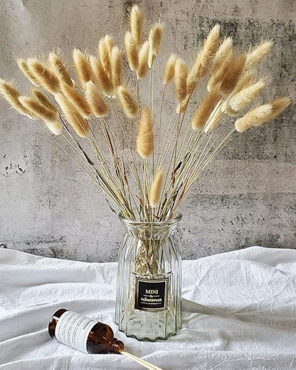 Bunny Tails Dried Flowers, Dried Pampas Grass Bouquet, Boho Table Decor, White Pampas Grass Small, Dried Bunny Tails, Pampas Grass for Wedding, Home, Rustic Party, Baby Shower Decorations, Burnt Coffee 30 pcs and 60 Pcs