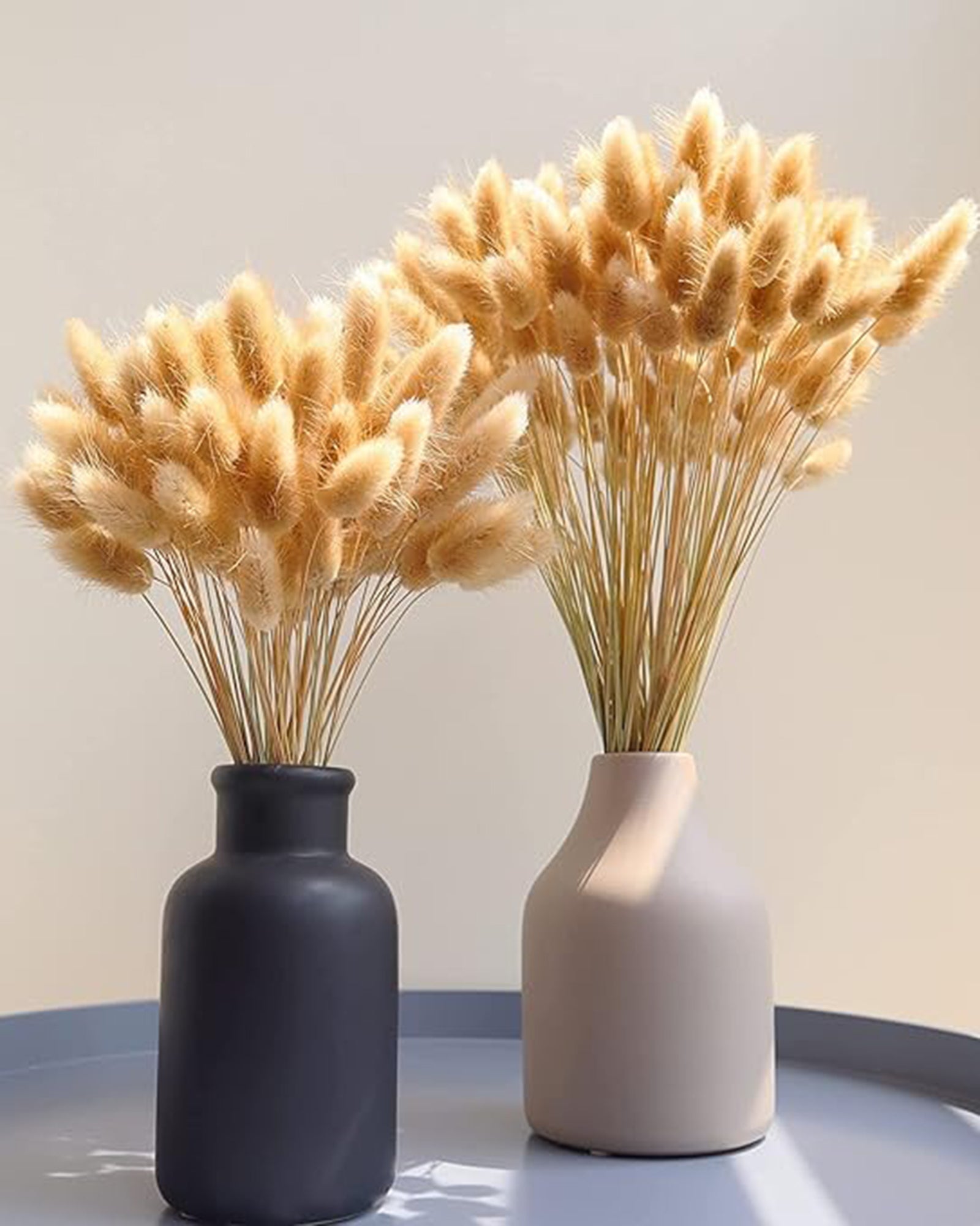 Bunny Tails Dried Flowers, Dried Pampas Grass Bouquet, Boho Table Decor, White Pampas Grass Small, Dried Bunny Tails, Pampas Grass for Wedding, Home, Rustic Party, Baby Shower Decorations, Burnt Coffee 30 pcs and 60 Pcs
