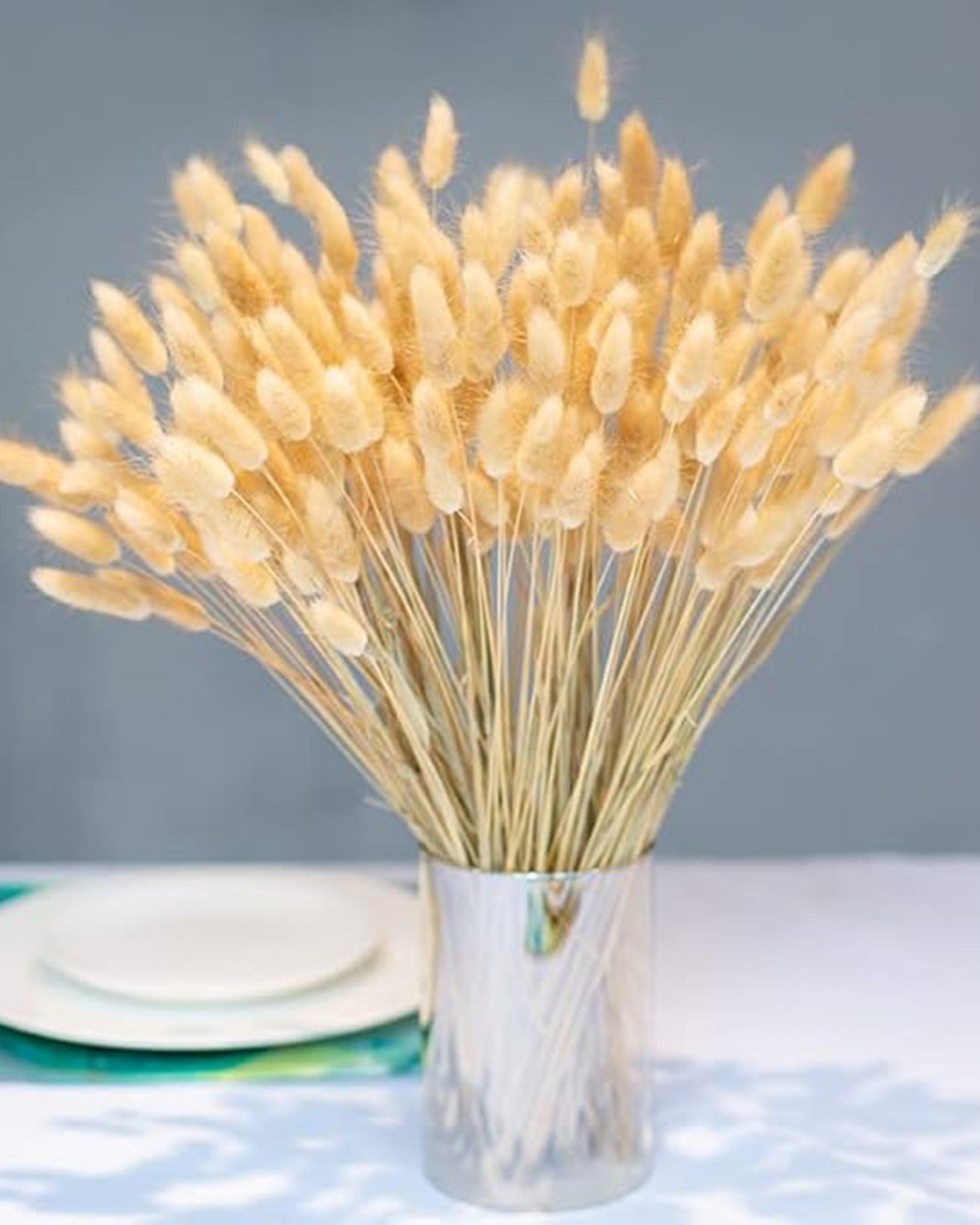 Bunny Tails Dried Flowers, Dried Pampas Grass Bouquet, Boho Table Decor, White Pampas Grass Small, Dried Bunny Tails, Pampas Grass for Wedding, Home, Rustic Party, Baby Shower Decorations, Burnt Coffee 30 pcs and 60 Pcs