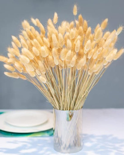 Bunny Tails Dried Flowers, Dried Pampas Grass Bouquet, Boho Table Decor, White Pampas Grass Small, Dried Bunny Tails, Pampas Grass for Wedding, Home, Rustic Party, Baby Shower Decorations, Burnt Coffee 30 pcs and 60 Pcs