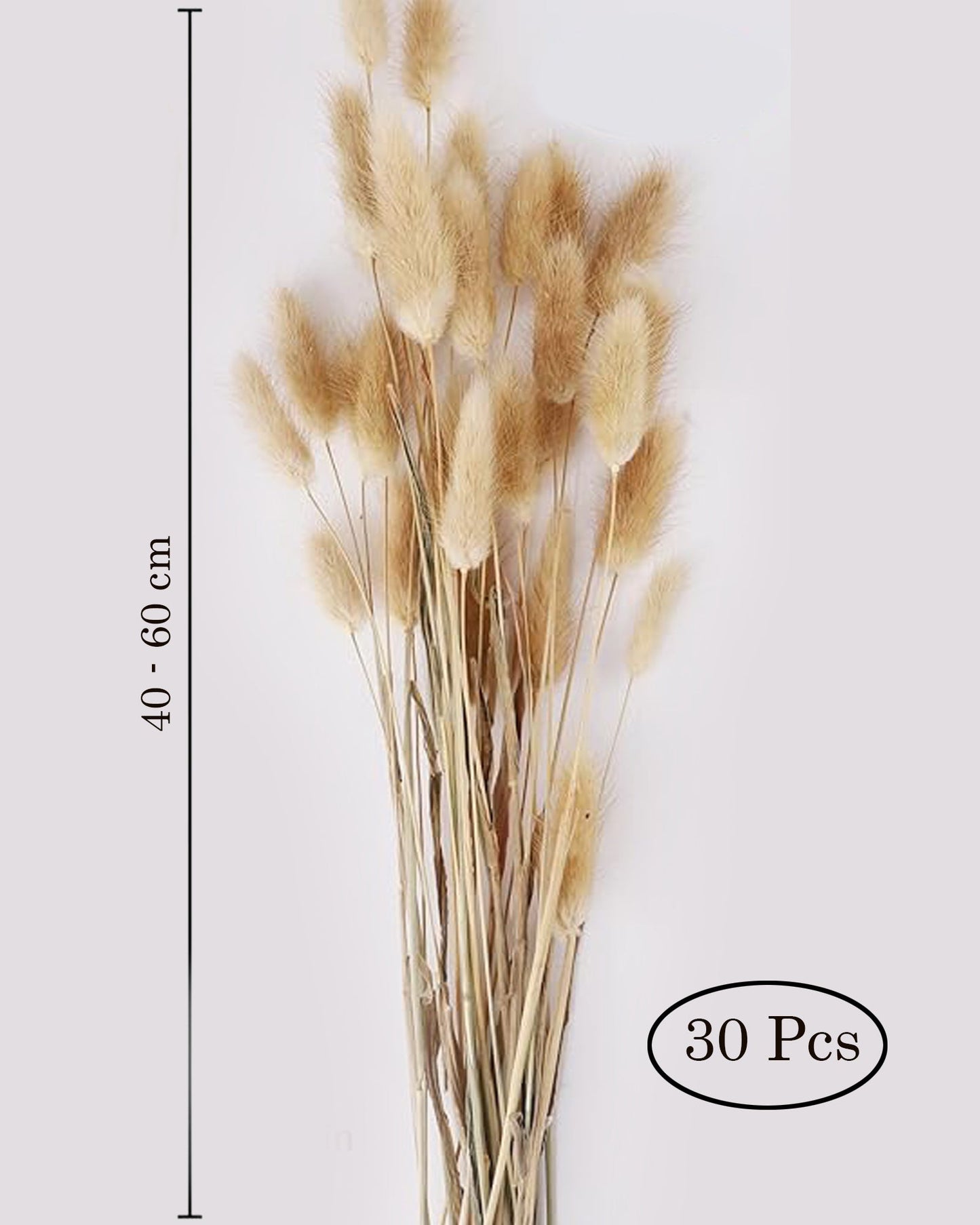 Bunny Tails Dried Flowers, Dried Pampas Grass Bouquet, Boho Table Decor, White Pampas Grass Small, Dried Bunny Tails, Pampas Grass for Wedding, Home, Rustic Party, Baby Shower Decorations, Burnt Coffee 30 pcs and 60 Pcs