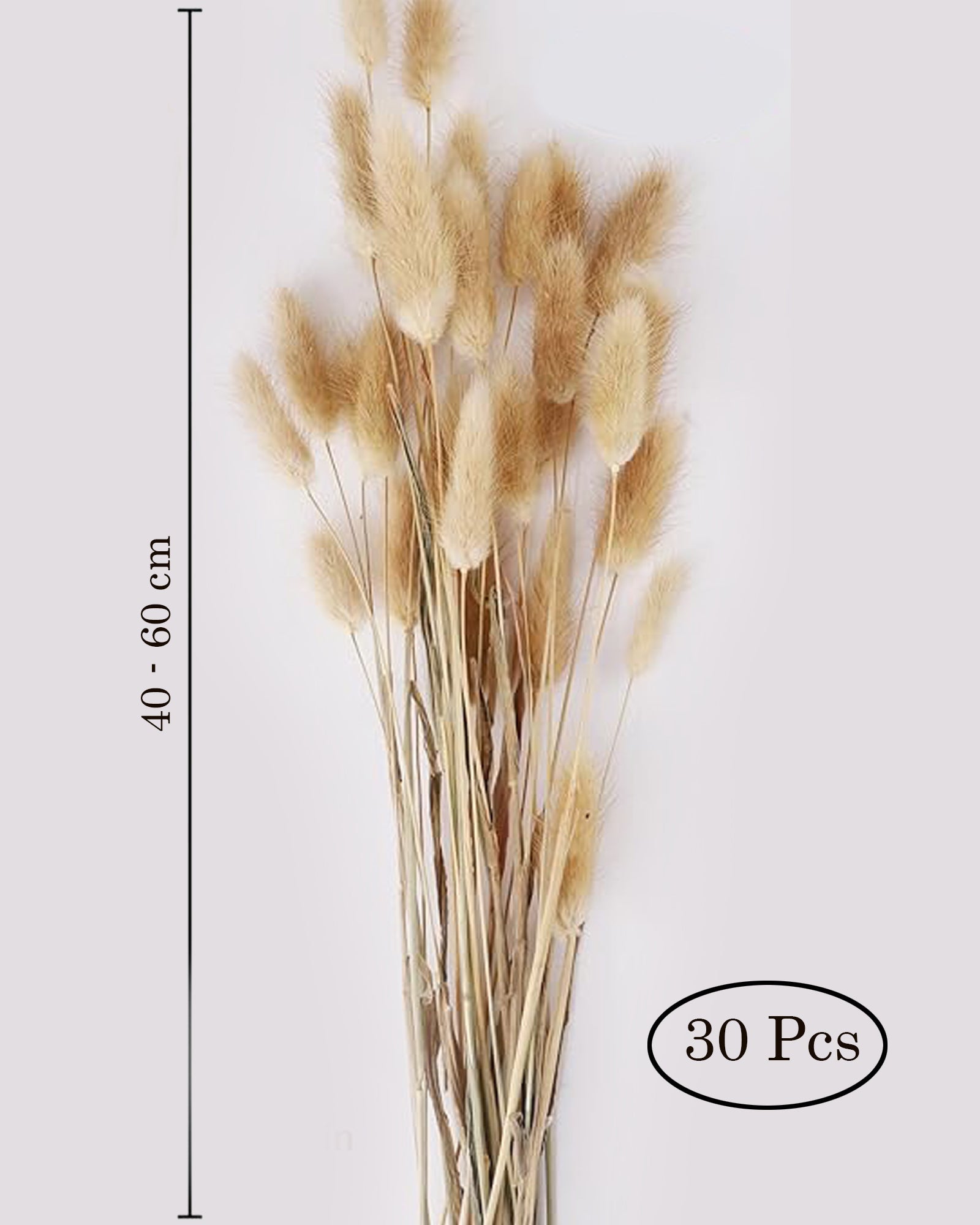 Bunny Tails Dried Flowers, Dried Pampas Grass Bouquet, Boho Table Decor, White Pampas Grass Small, Dried Bunny Tails, Pampas Grass for Wedding, Home, Rustic Party, Baby Shower Decorations, Burnt Coffee 30 pcs and 60 Pcs