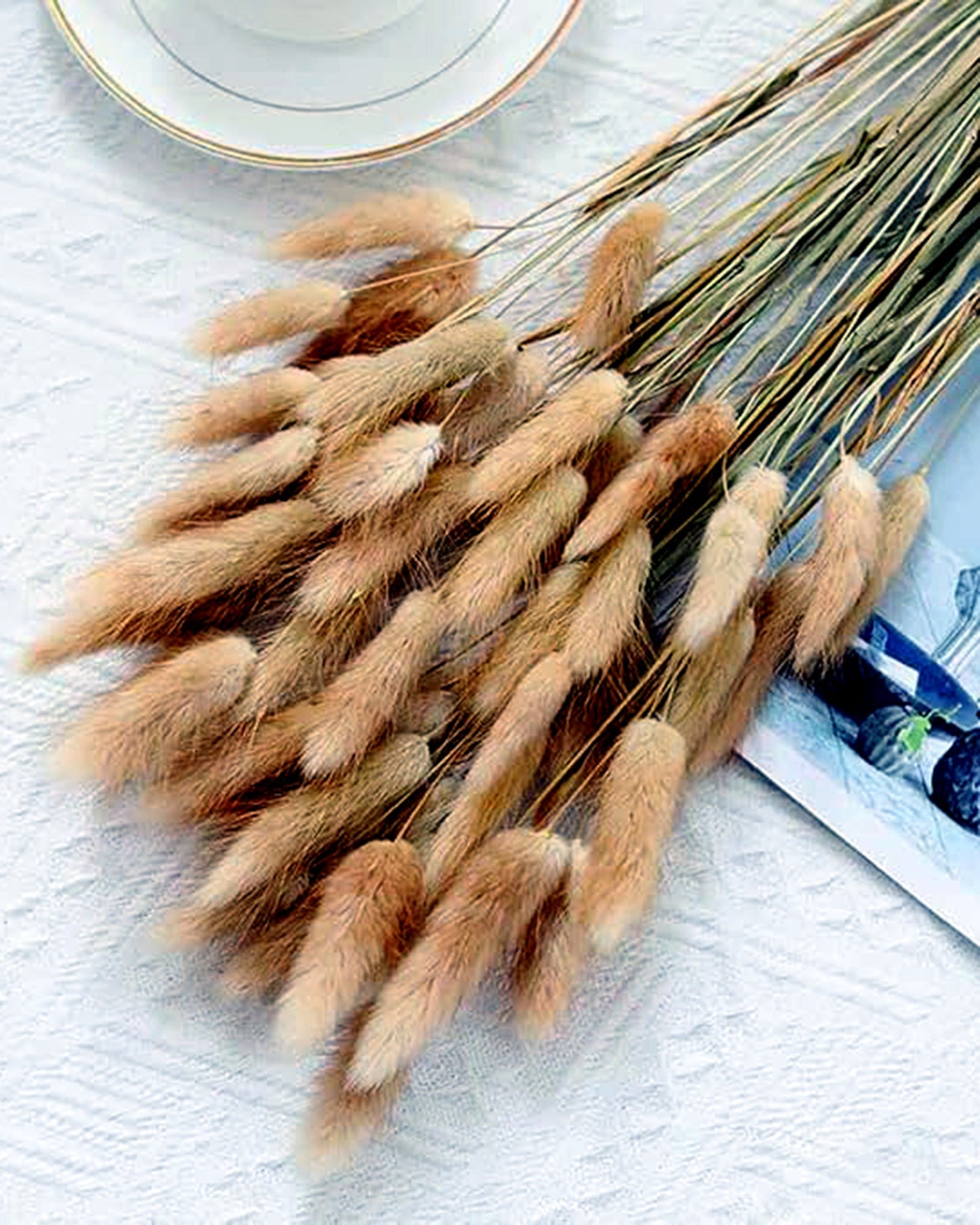 Bunny Tails Dried Flowers, Dried Pampas Grass Bouquet, Boho Table Decor, White Pampas Grass Small, Dried Bunny Tails, Pampas Grass for Wedding, Home, Rustic Party, Baby Shower Decorations, Burnt Coffee 30 pcs and 60 Pcs