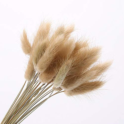 Bunny Tails Dried Flowers, Dried Pampas Grass Bouquet, Boho Table Decor, White Pampas Grass Small, Dried Bunny Tails, Pampas Grass for Wedding, Home, Rustic Party, Baby Shower Decorations, Burnt Coffee 30 pcs and 60 Pcs